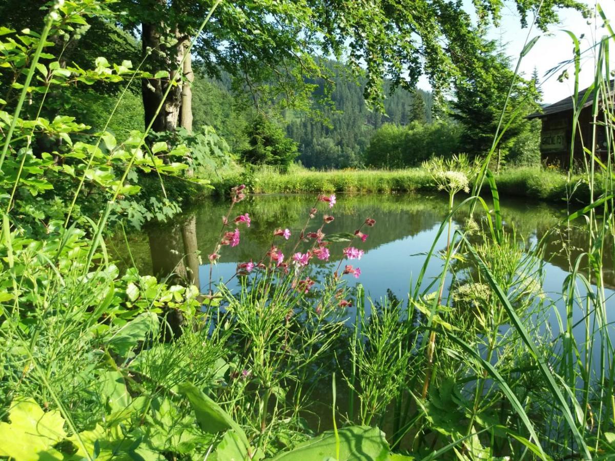 Zbojnicki Ostep-Nocleg Trapera Kletno Exteriér fotografie